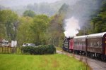 Excursion Train